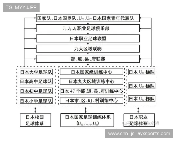 足球联赛在青训扶持上与教育系统深度对接确保双轨发展可持续性
