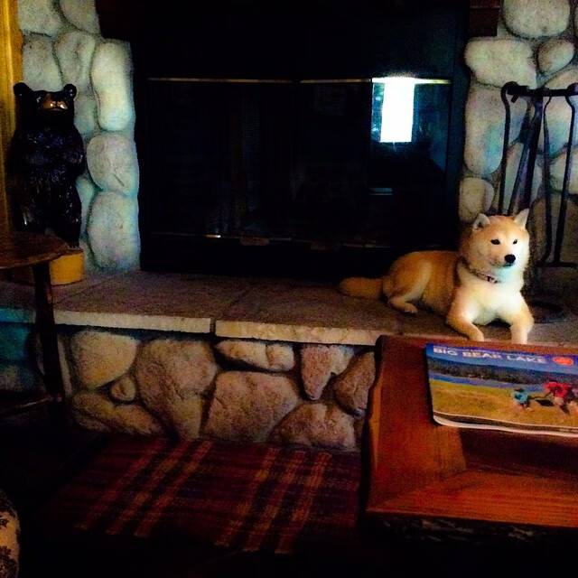 爱游戏入口-快船二队成员参与主队训练加快轮换适应，快船 队员